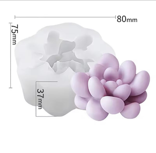 قالب صبار صغير